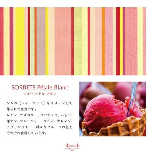 【レトワールデュソレイユ】600mlまでいれることができるソフトボトルケース
